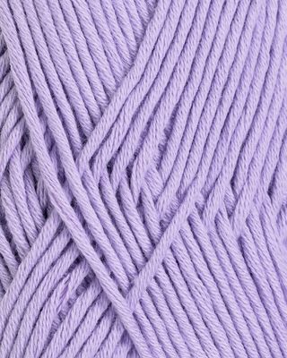 PETUNIA - 264 Lys lilla