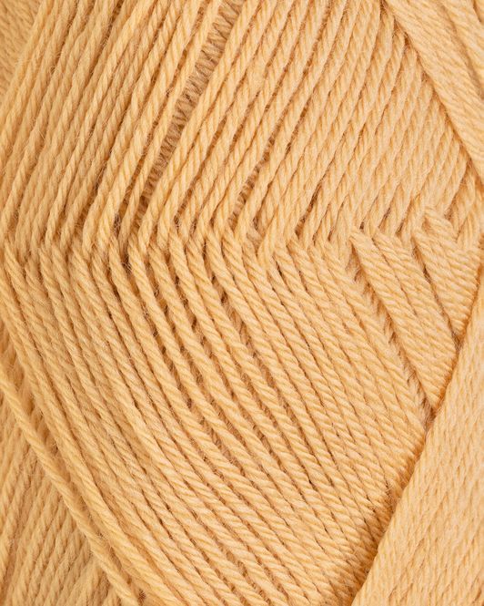 Hovedbilde 113 Lys kamel