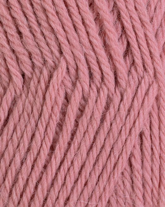 Hovedbilde MITU - 1832 Rosa